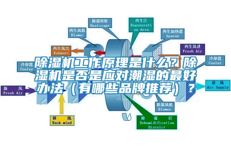除濕機(jī)工作原理是什么？除濕機(jī)是否是應(yīng)對(duì)潮濕的最好辦法（有哪些品牌推薦）？