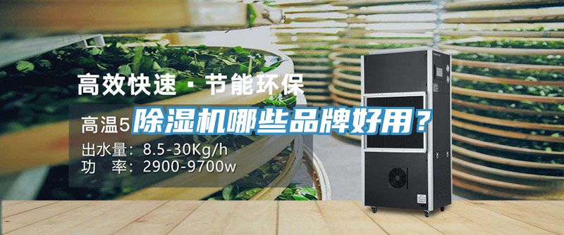 除濕機(jī)哪些品牌好用？
