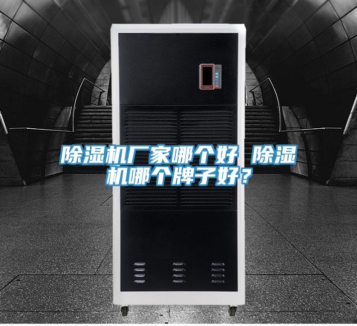 除濕機(jī)廠家哪個(gè)好 除濕機(jī)哪個(gè)牌子好？