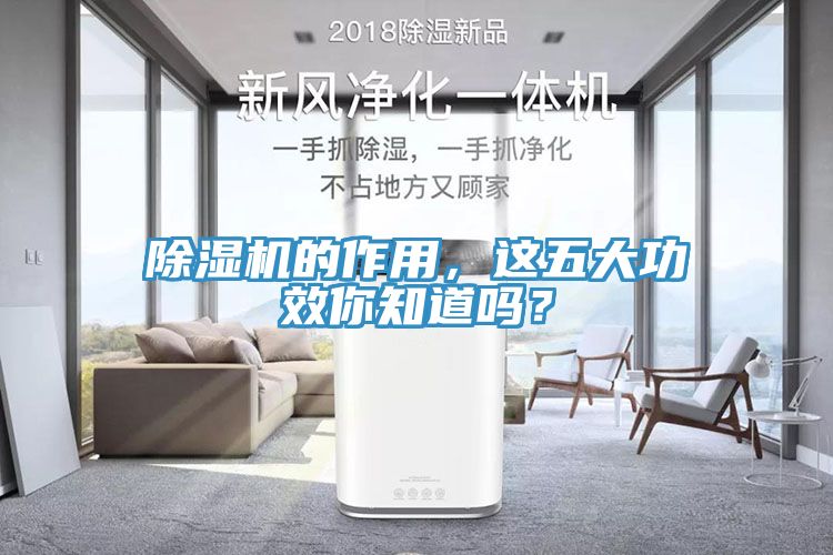 除濕機(jī)的作用，這五大功效你知道嗎？