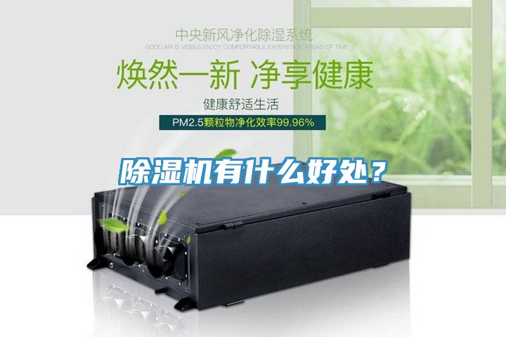 除濕機有什么好處？