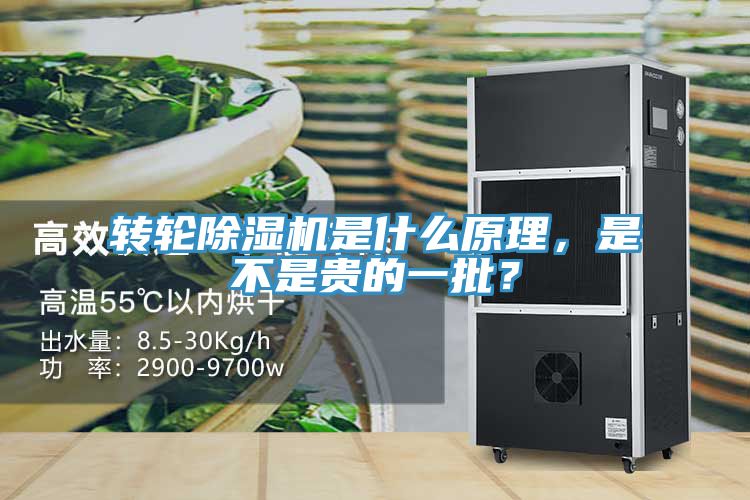轉(zhuǎn)輪除濕機(jī)是什么原理，是不是貴的一批？