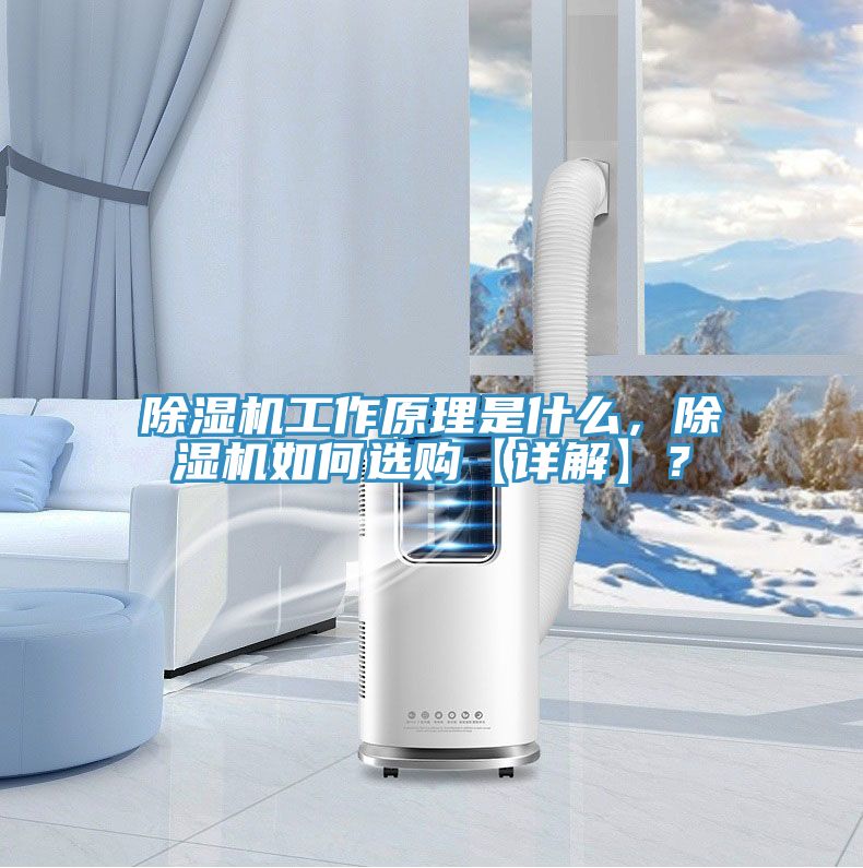 除濕機(jī)工作原理是什么，除濕機(jī)如何選購(gòu)【詳解】？