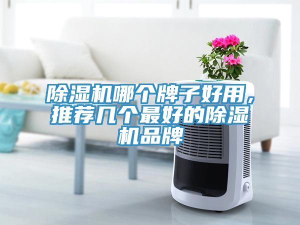 除濕機哪個牌子好用，推薦幾個最好的除濕機品牌