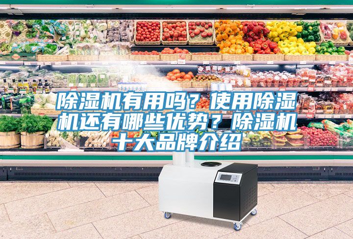 除濕機(jī)有用嗎？使用除濕機(jī)還有哪些優(yōu)勢？除濕機(jī)十大品牌介紹