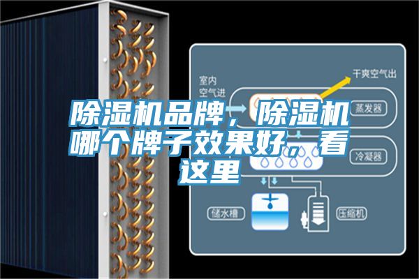 除濕機品牌，除濕機哪個牌子效果好，看這里