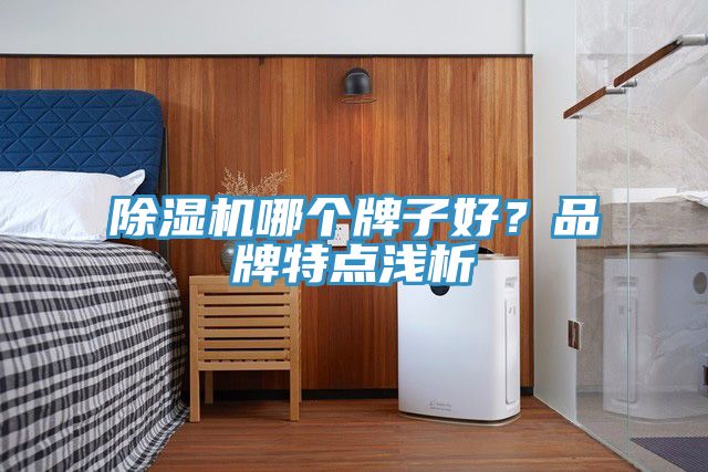 除濕機哪個牌子好？品牌特點淺析
