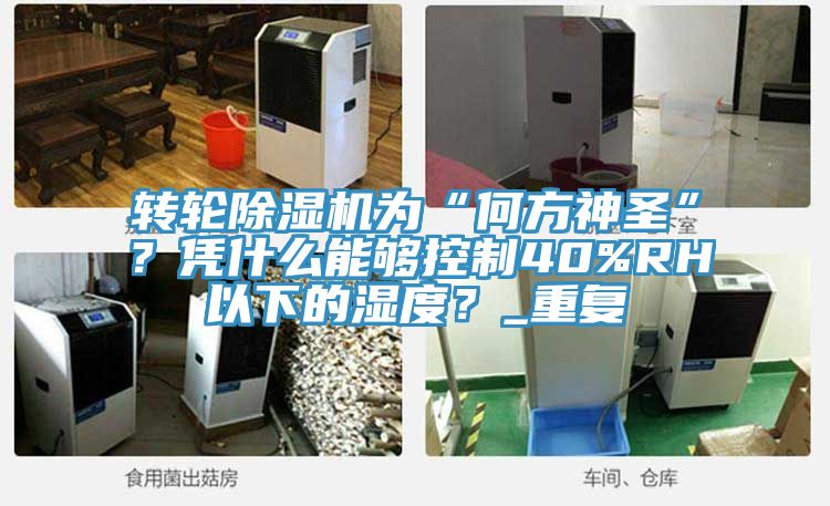 轉(zhuǎn)輪除濕機(jī)為“何方神圣”？憑什么能夠控制40%RH以下的濕度？_重復(fù)