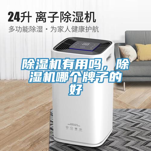 除濕機(jī)有用嗎，除濕機(jī)哪個牌子的好