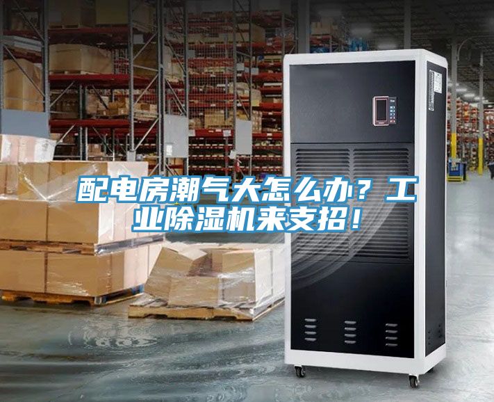 配電房潮氣大怎么辦？工業(yè)除濕機來支招！