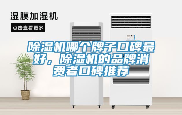 除濕機(jī)哪個牌子口碑最好，除濕機(jī)的品牌消費(fèi)者口碑推薦