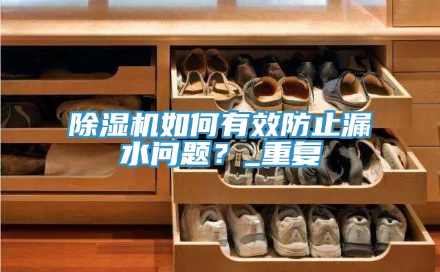 除濕機(jī)如何有效防止漏水問題？_重復(fù)