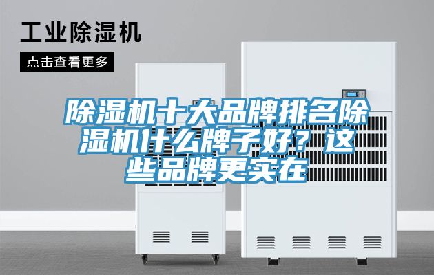 除濕機(jī)十大品牌排名除濕機(jī)什么牌子好？這些品牌更實(shí)在