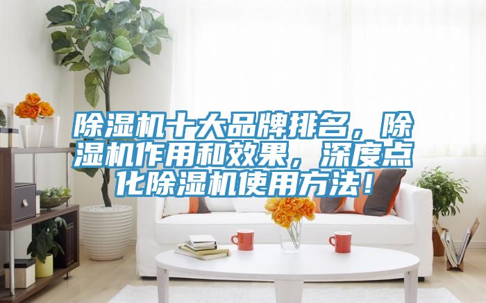 除濕機(jī)十大品牌排名，除濕機(jī)作用和效果，深度點(diǎn)化除濕機(jī)使用方法！