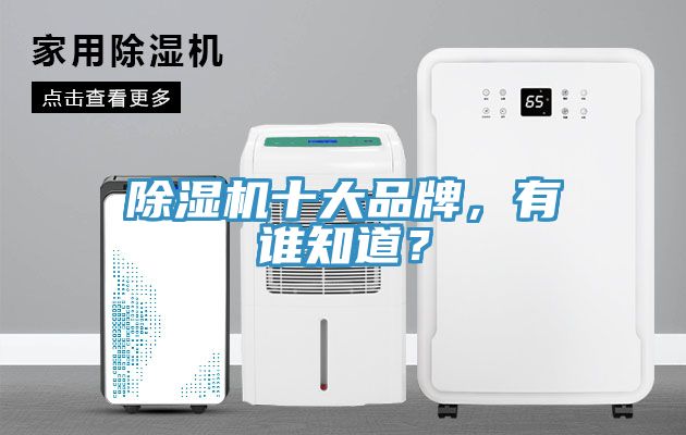 除濕機(jī)十大品牌，有誰知道？