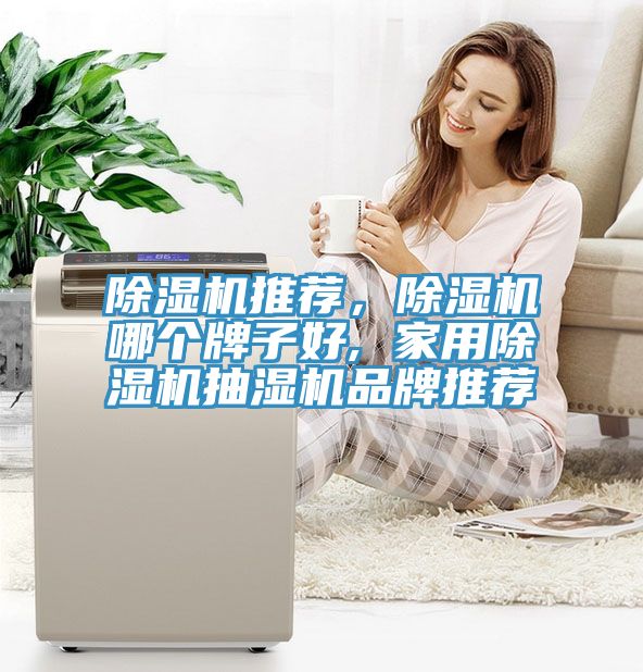 除濕機(jī)推薦，除濕機(jī)哪個(gè)牌子好, 家用除濕機(jī)抽濕機(jī)品牌推薦