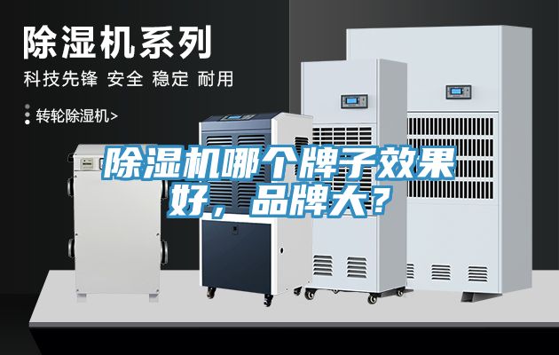 除濕機(jī)哪個(gè)牌子效果好，品牌大？