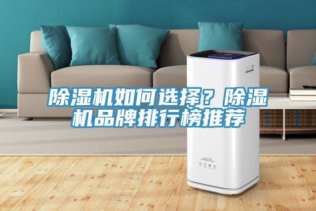 除濕機(jī)如何選擇？除濕機(jī)品牌排行榜推薦