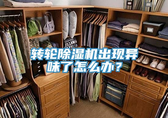 轉(zhuǎn)輪除濕機出現(xiàn)異味了怎么辦？