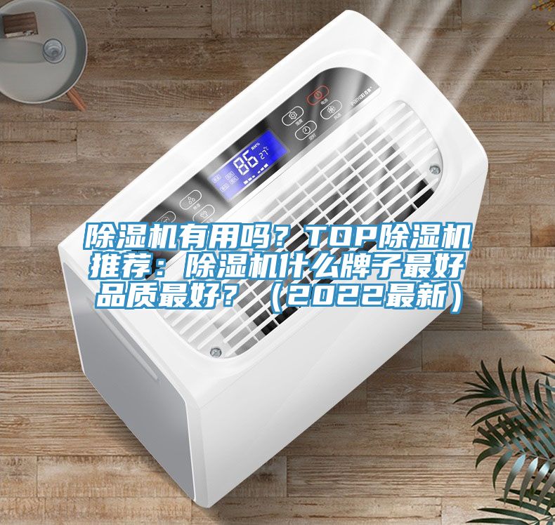 除濕機(jī)有用嗎？TOP除濕機(jī)推薦：除濕機(jī)什么牌子最好品質(zhì)最好？（2022最新）