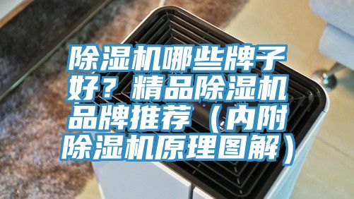 除濕機哪些牌子好？精品除濕機品牌推薦（內附除濕機原理圖解）