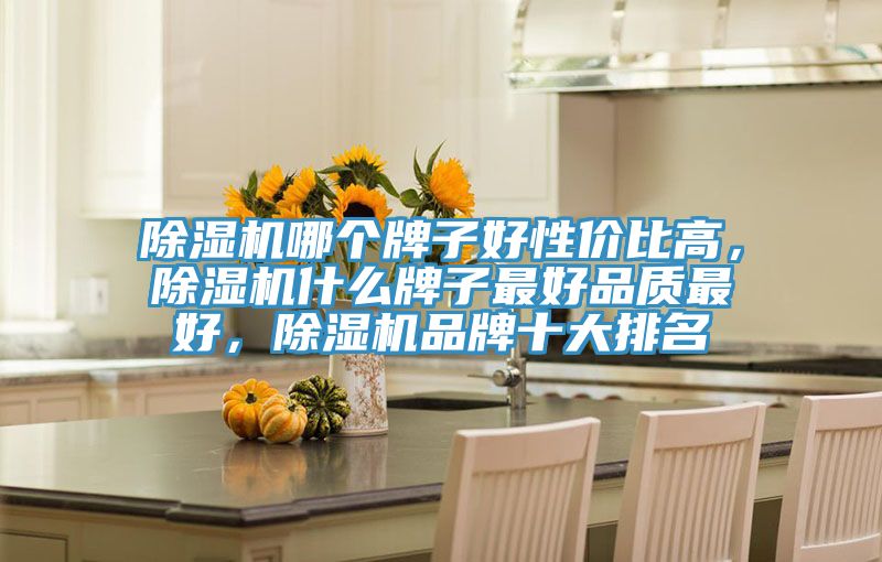 除濕機(jī)哪個(gè)牌子好性價(jià)比高，除濕機(jī)什么牌子最好品質(zhì)最好，除濕機(jī)品牌十大排名