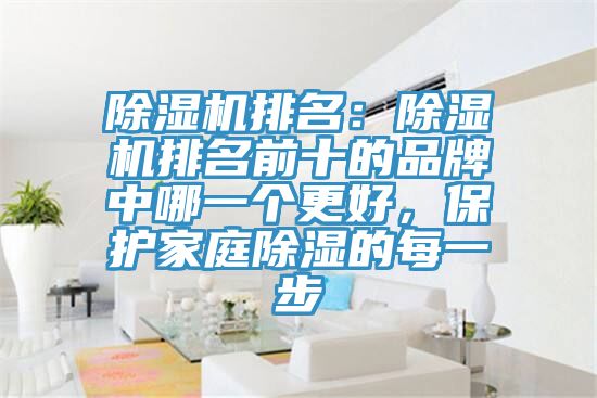 除濕機(jī)排名：除濕機(jī)排名前十的品牌中哪一個(gè)更好，保護(hù)家庭除濕的每一步