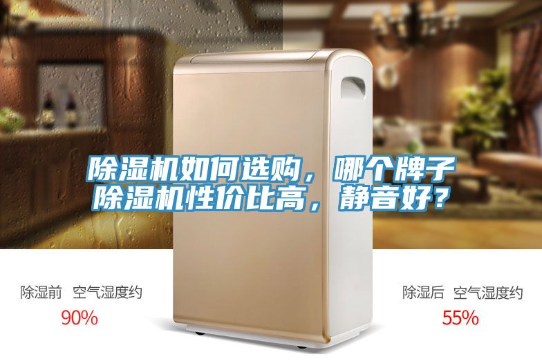 除濕機如何選購，哪個牌子除濕機性價比高，靜音好？