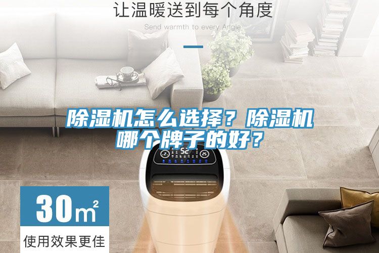 除濕機怎么選擇？除濕機哪個牌子的好？