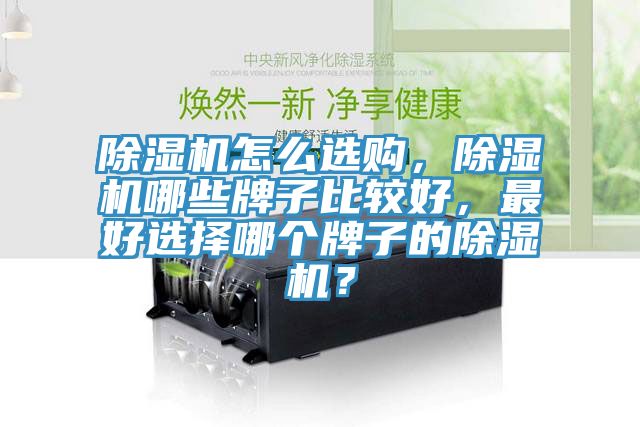 除濕機(jī)怎么選購，除濕機(jī)哪些牌子比較好，最好選擇哪個(gè)牌子的除濕機(jī)？