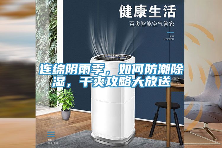 連綿陰雨季，如何防潮除濕，干爽攻略大放送