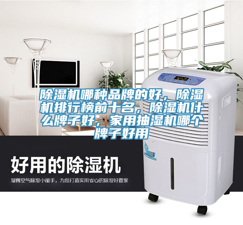 除濕機哪種品牌的好，除濕機排行榜前十名，除濕機什么牌子好，家用抽濕機哪個牌子好用
