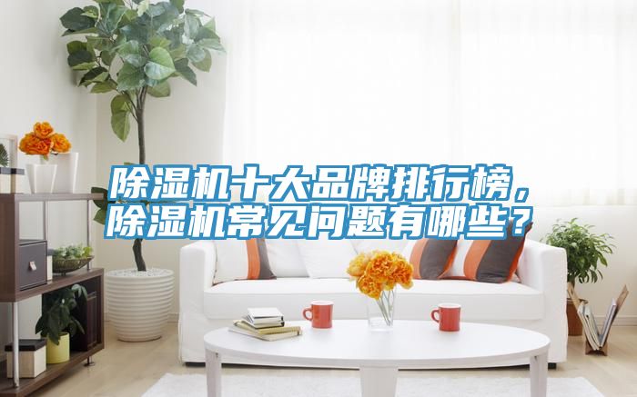 除濕機(jī)十大品牌排行榜，除濕機(jī)常見問題有哪些？