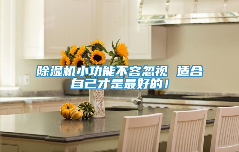 除濕機小功能不容忽視 適合自己才是最好的！