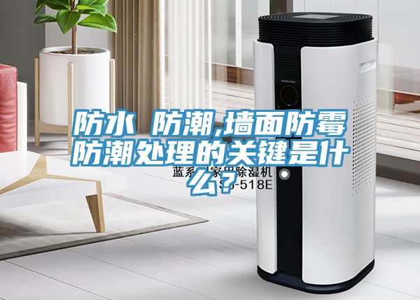 防水≠防潮,墻面防霉防潮處理的關(guān)鍵是什么？