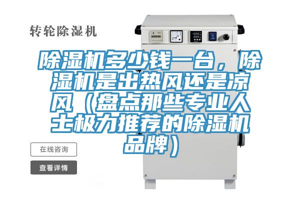 除濕機(jī)多少錢一臺(tái)，除濕機(jī)是出熱風(fēng)還是涼風(fēng)（盤點(diǎn)那些專業(yè)人士極力推薦的除濕機(jī)品牌）