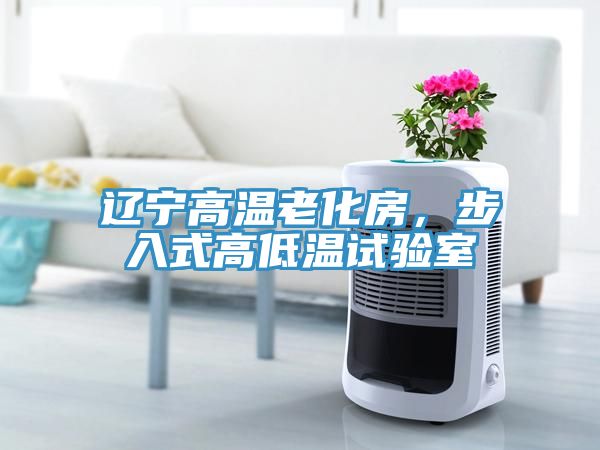 遼寧高溫老化房，步入式高低溫試驗室