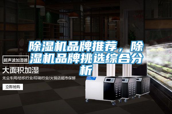 除濕機品牌推薦，除濕機品牌挑選綜合分析