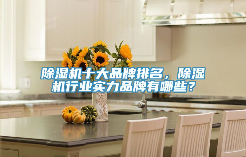 除濕機(jī)十大品牌排名，除濕機(jī)行業(yè)實(shí)力品牌有哪些？