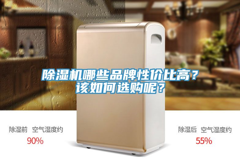 除濕機(jī)哪些品牌性?xún)r(jià)比高？該如何選購(gòu)呢？
