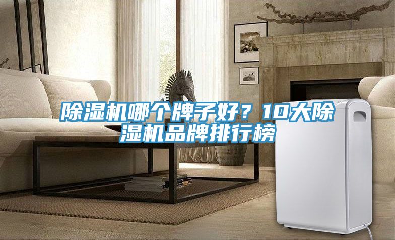 除濕機哪個牌子好？10大除濕機品牌排行榜