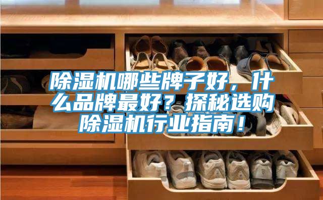 除濕機哪些牌子好，什么品牌最好？探秘選購除濕機行業(yè)指南！