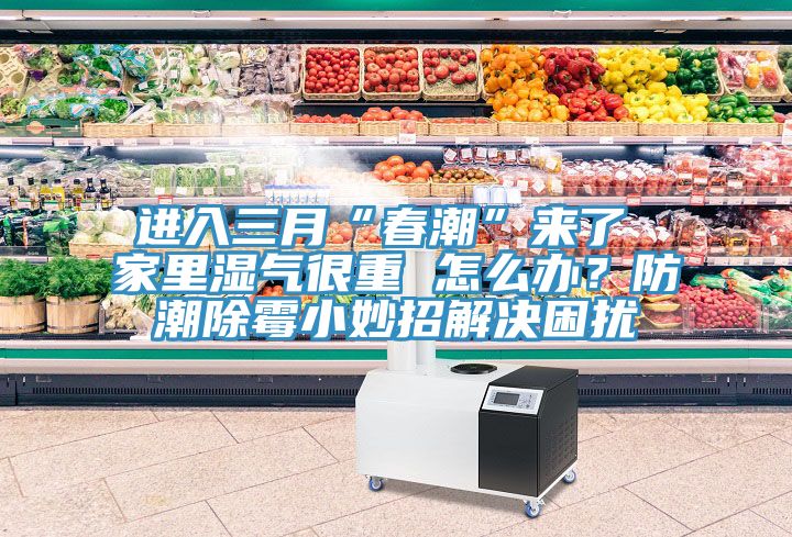 進(jìn)入三月“春潮”來了 家里濕氣很重 怎么辦？防潮除霉小妙招解決困擾