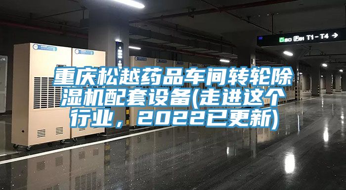 重慶松越藥品車間轉(zhuǎn)輪除濕機配套設備(走進這個行業(yè)，2022已更新)