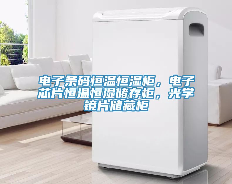 電子條碼恒溫恒濕柜，電子芯片恒溫恒濕儲存柜，光學(xué)鏡片儲藏柜