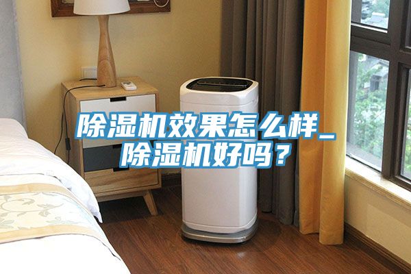 除濕機效果怎么樣_除濕機好嗎？