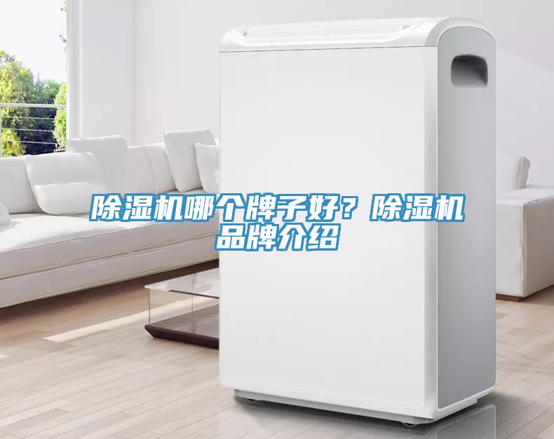 除濕機(jī)哪個(gè)牌子好？除濕機(jī)品牌介紹