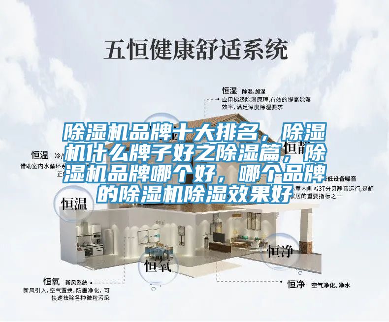 除濕機(jī)品牌十大排名，除濕機(jī)什么牌子好之除濕篇，除濕機(jī)品牌哪個(gè)好，哪個(gè)品牌的除濕機(jī)除濕效果好