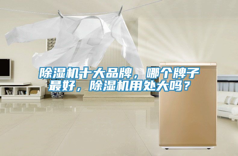 除濕機(jī)十大品牌，哪個牌子最好，除濕機(jī)用處大嗎？