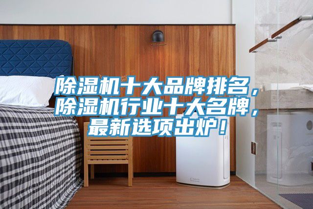 除濕機(jī)十大品牌排名，除濕機(jī)行業(yè)十大名牌，最新選項(xiàng)出爐！